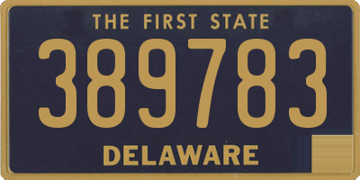 DE license plate 389783