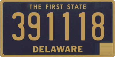 DE license plate 391118