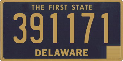 DE license plate 391171