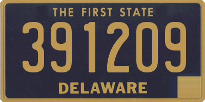 DE license plate 391209