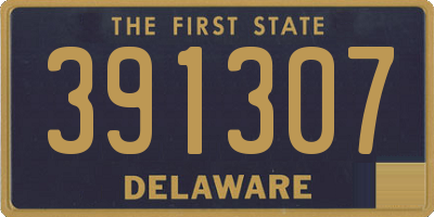 DE license plate 391307