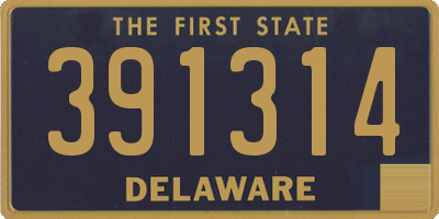 DE license plate 391314