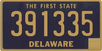 DE license plate 391335