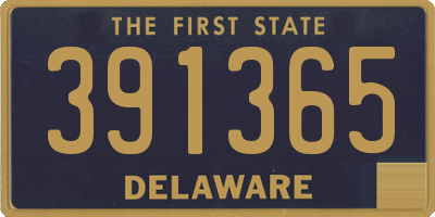 DE license plate 391365