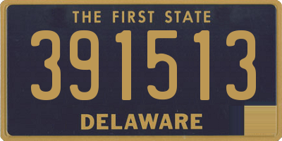 DE license plate 391513