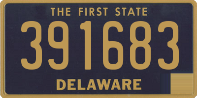 DE license plate 391683
