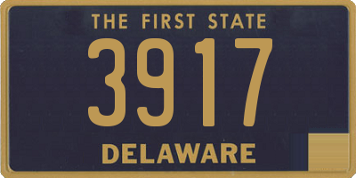 DE license plate 3917