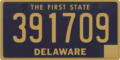 DE license plate 391709