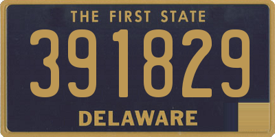 DE license plate 391829