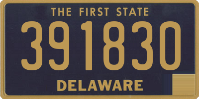DE license plate 391830