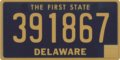 DE license plate 391867