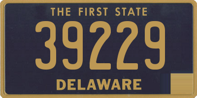 DE license plate 39229