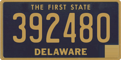 DE license plate 392480