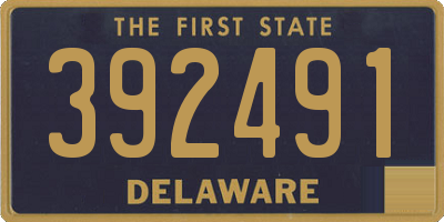DE license plate 392491
