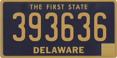 DE license plate 393636