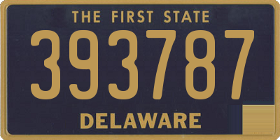 DE license plate 393787