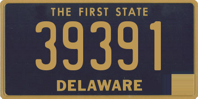 DE license plate 39391