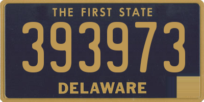 DE license plate 393973