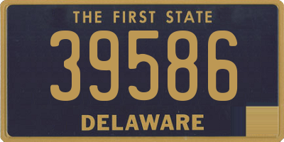 DE license plate 39586