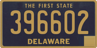 DE license plate 396602