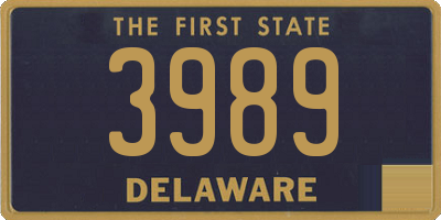 DE license plate 3989
