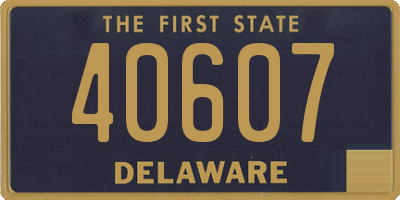 DE license plate 40607