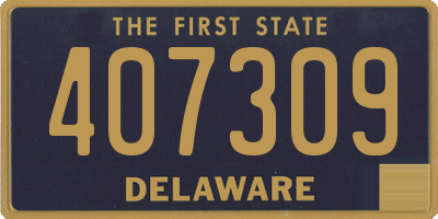 DE license plate 407309