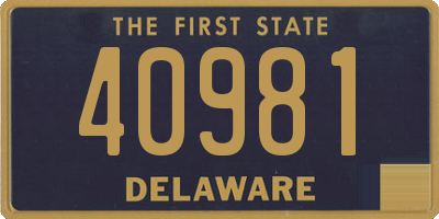 DE license plate 40981