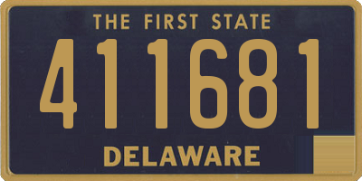 DE license plate 411681