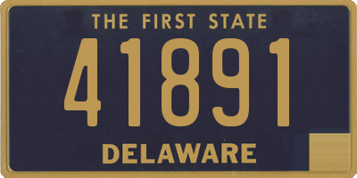 DE license plate 41891