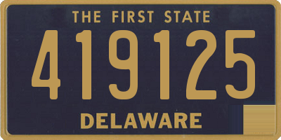 DE license plate 419125