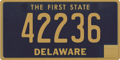 DE license plate 42236