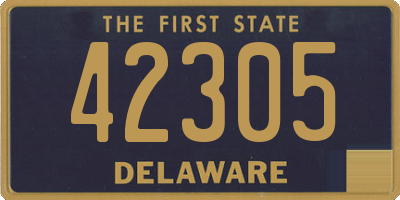 DE license plate 42305