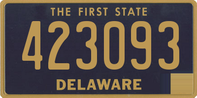 DE license plate 423093