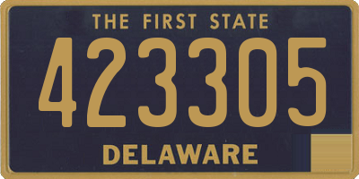 DE license plate 423305