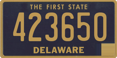DE license plate 423650