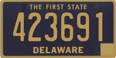 DE license plate 423691