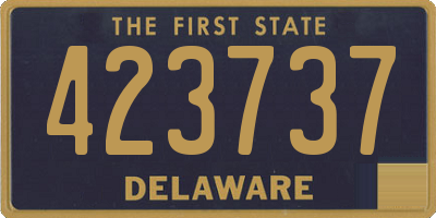 DE license plate 423737