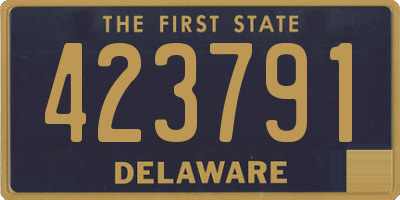 DE license plate 423791