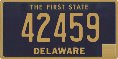 DE license plate 42459