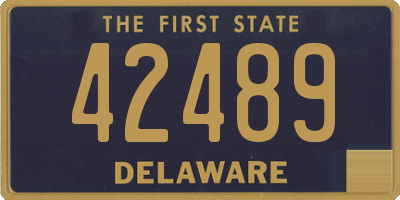 DE license plate 42489