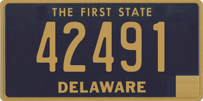 DE license plate 42491