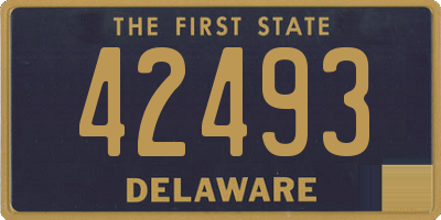 DE license plate 42493