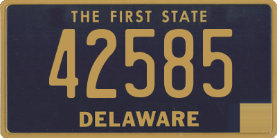 DE license plate 42585