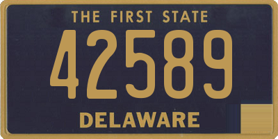 DE license plate 42589