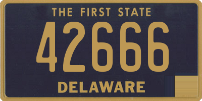 DE license plate 42666