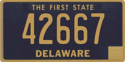 DE license plate 42667