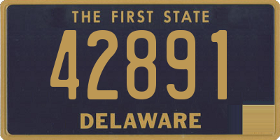 DE license plate 42891