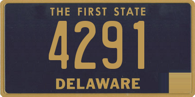 DE license plate 4291