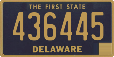 DE license plate 436445